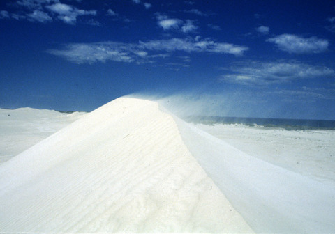 australia - sand dunes - lancelin.jpg